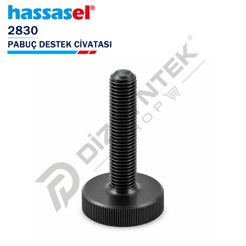 2830 Pabuç Destek Civatası - Hassasel