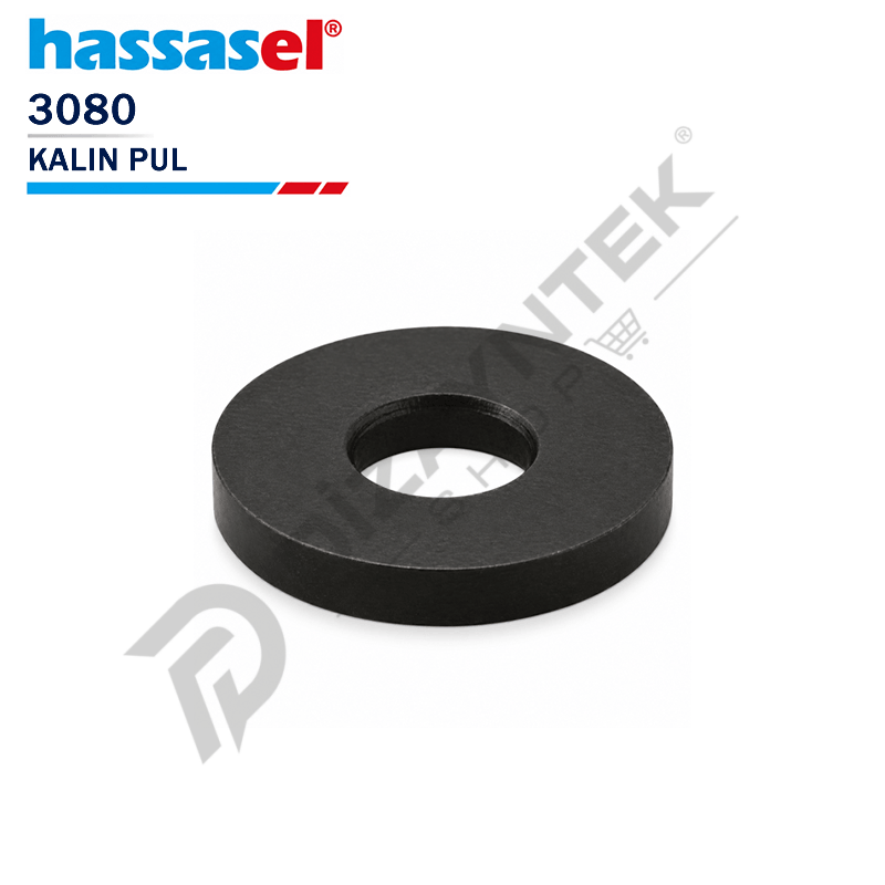 3080 Kalın Pul - Hassasel