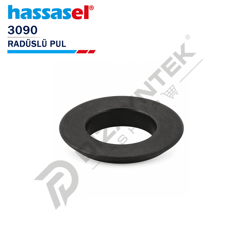 3090 Radüslü Pul - Hassasel