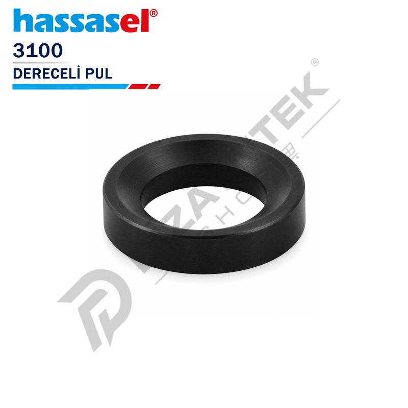 3100 Dereceli Pul - Hassasel