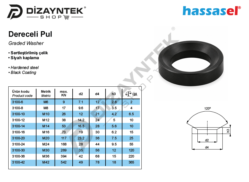 3100 Dereceli Pul - Hassasel