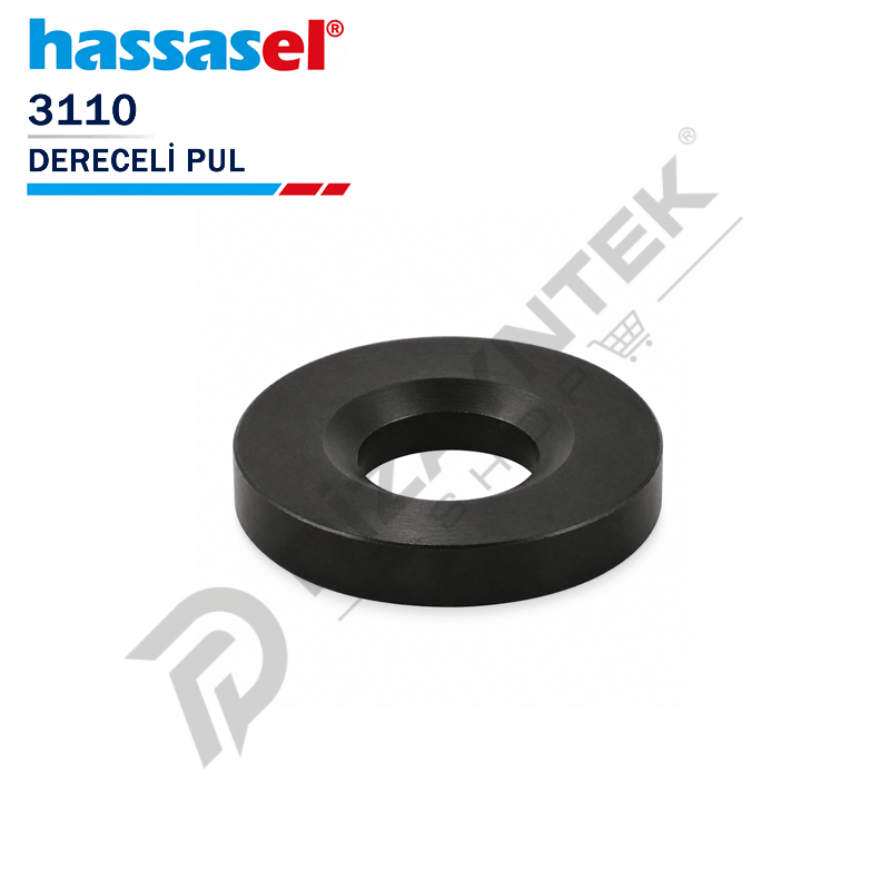 3110 Dereceli Pul - Hassasel