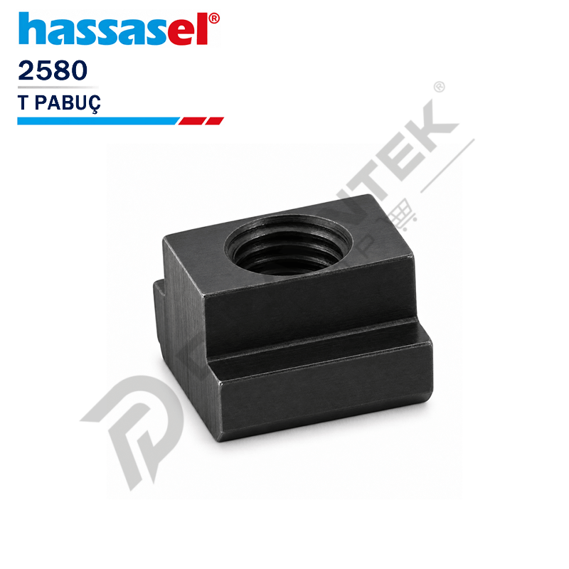 2580 T-Pabuç - Hassasel