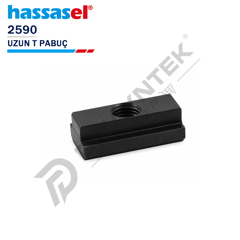 2590 Uzun T-Pabuç - Hassasel