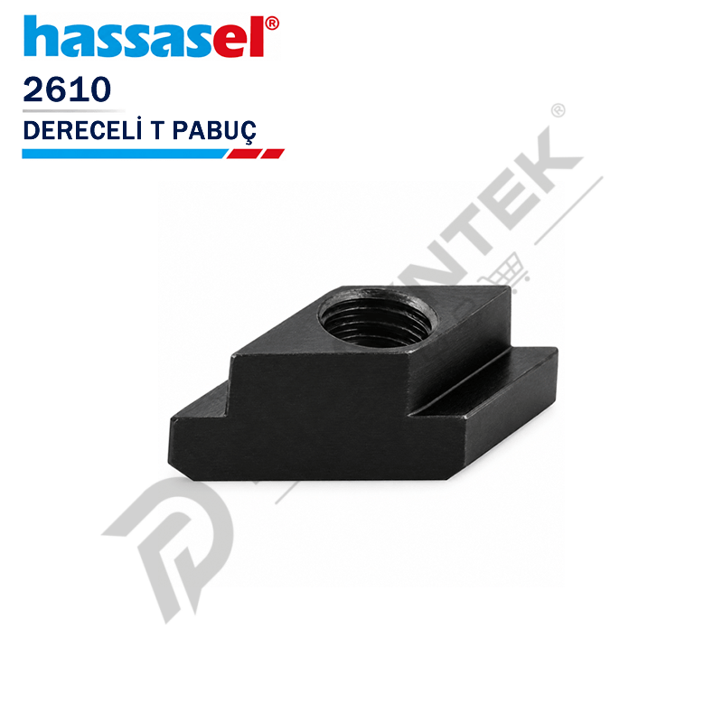 2610 Dereceli T-Pabuç - Hassasel